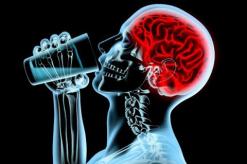 Verter alcohol sobre el sistema nervioso y el cerebro Verter alcohol sobre el centro del despertar del cerebro